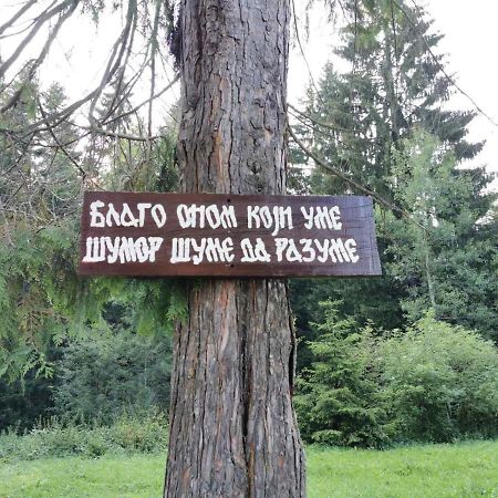 Apartman Bugar Mitrovac Zewnętrze zdjęcie