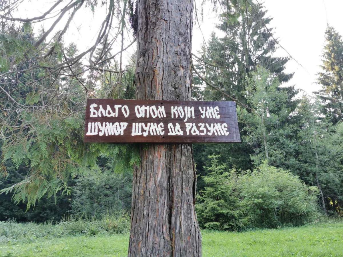 Apartman Bugar Mitrovac Zewnętrze zdjęcie