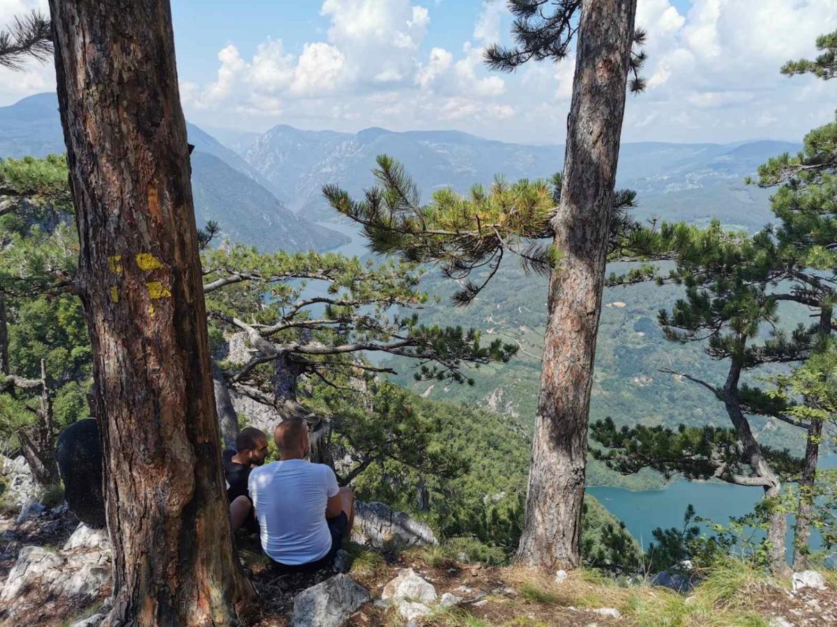 Apartman Bugar Mitrovac Zewnętrze zdjęcie