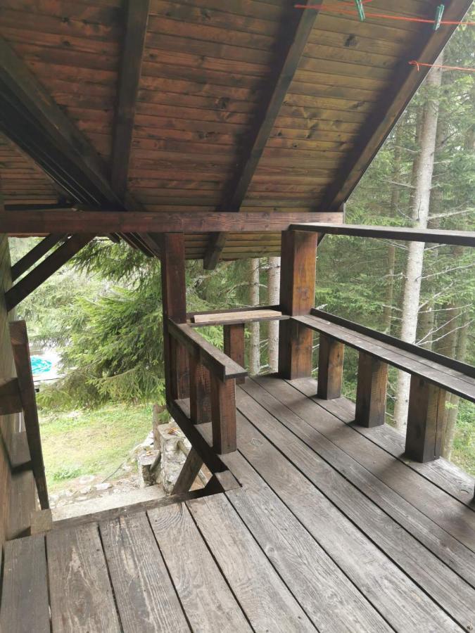 Apartman Bugar Mitrovac Zewnętrze zdjęcie